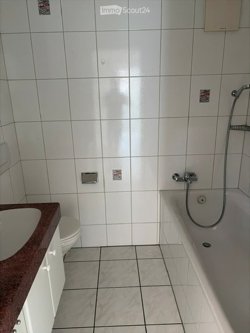 Modern bathroom with white tiled walls and floor, a bathtub with a handheld shower, a toilet, and a sink with a countertop.