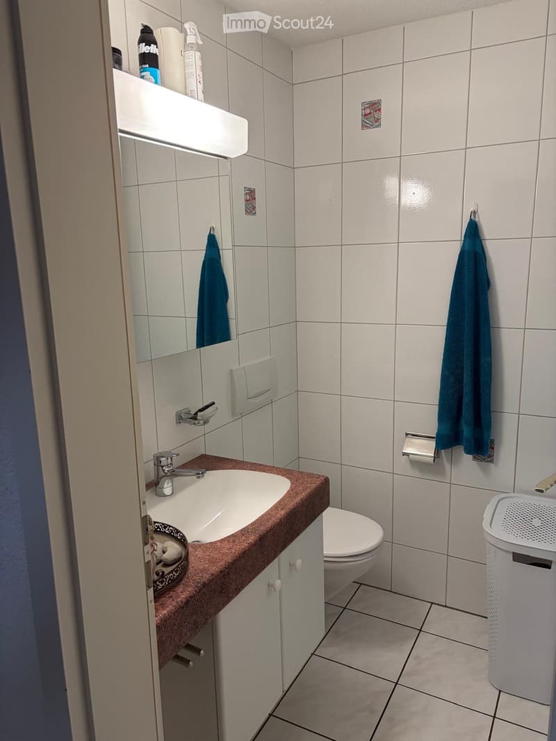 Bel appartement duplex avec vue sur le vert (5)