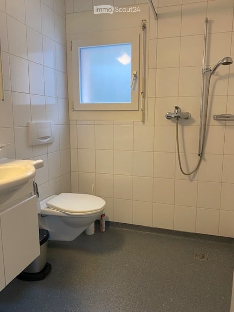 compact bathroom with toilet, sink, shower, and window