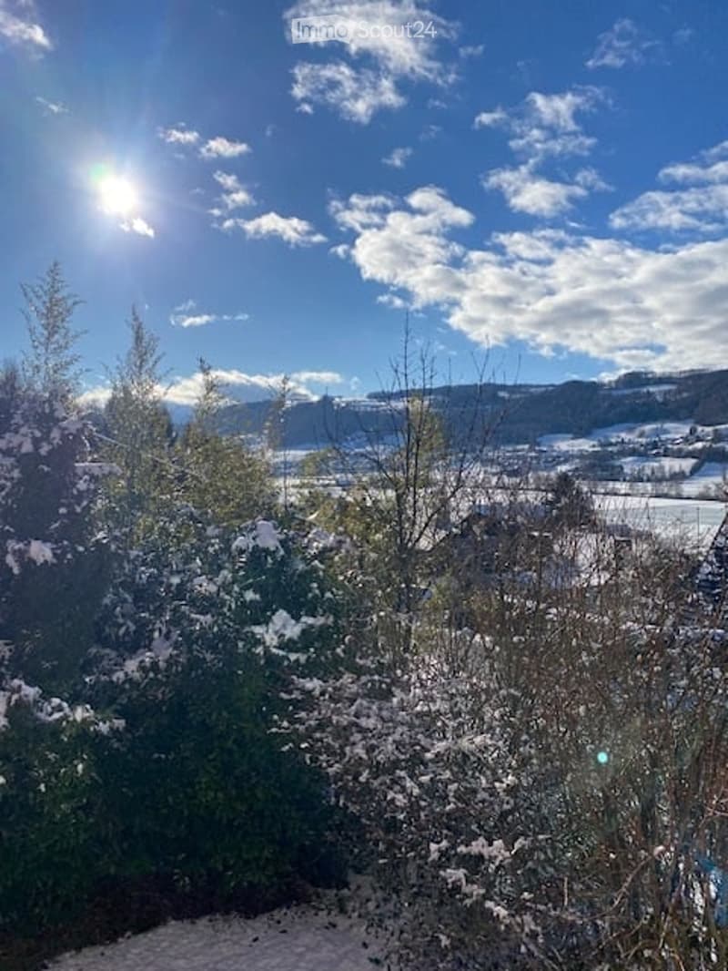 Winter landscape with snow covered plants and trees, mountains in the background, bright sky