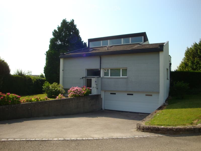 modern house, gray exterior, white garage, large windows, driveway