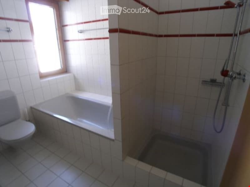 Living in tax-friendly Oberwil (15)