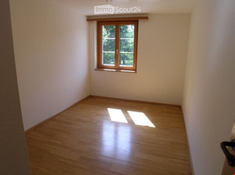 Living in tax-friendly Oberwil (13)