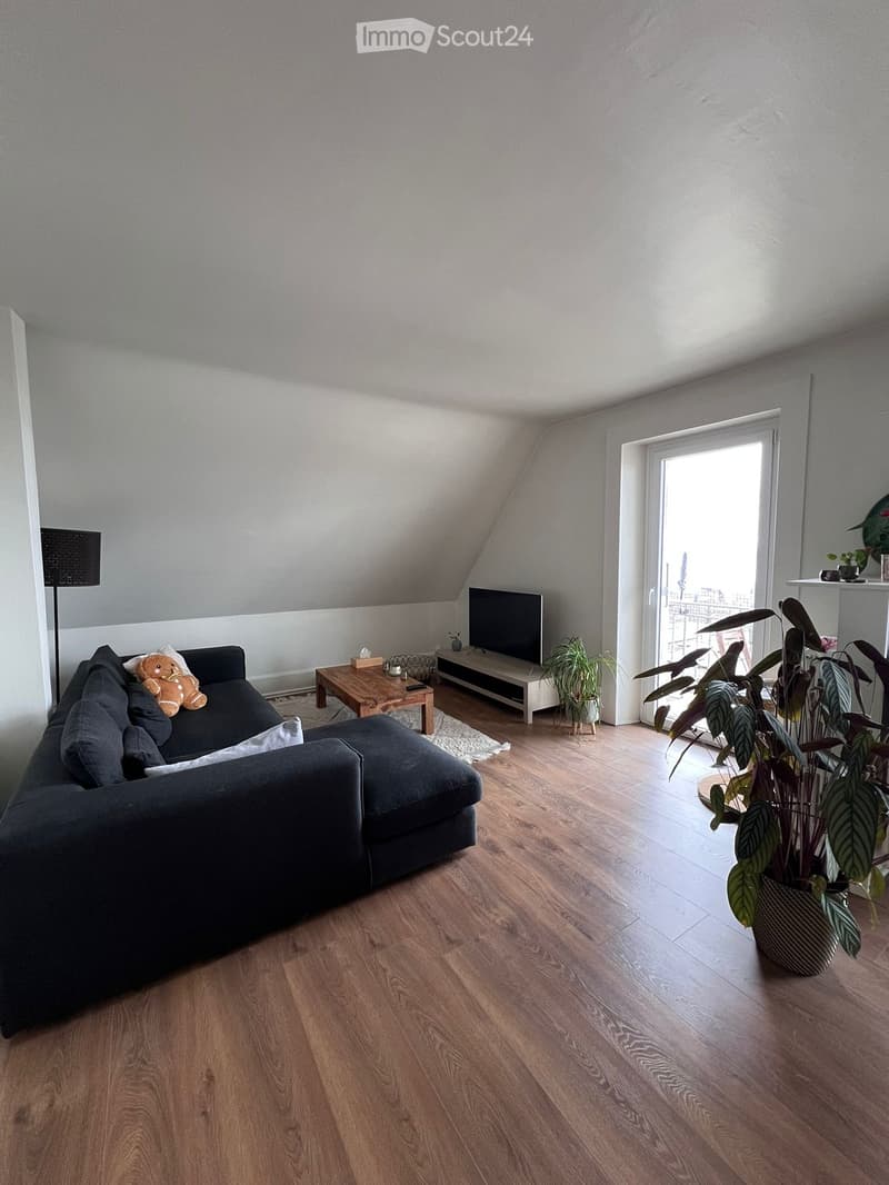 Modern living room with wooden flooring, grey sectional sofa, coffee table, TV stand, floor lamp, and plants near the window.