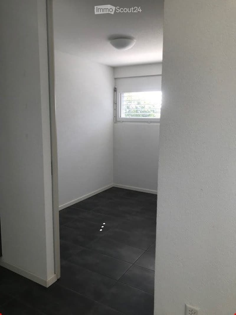 Empty room with white walls, black tiles, one window, ceiling lamp, power outlet
