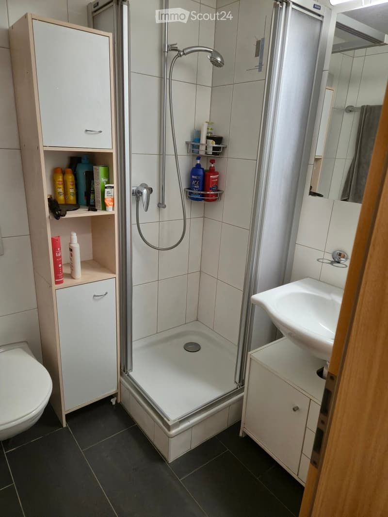 Bathroom. Modern bathroom with a walk-in shower, toilet, sink, and built-in cabinet. Shower shelf holds toiletries.