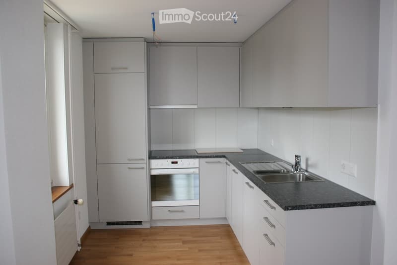 modern kitchen with white cabinets, wooden floor, integrated oven, dishwasher, sink, granite countertop