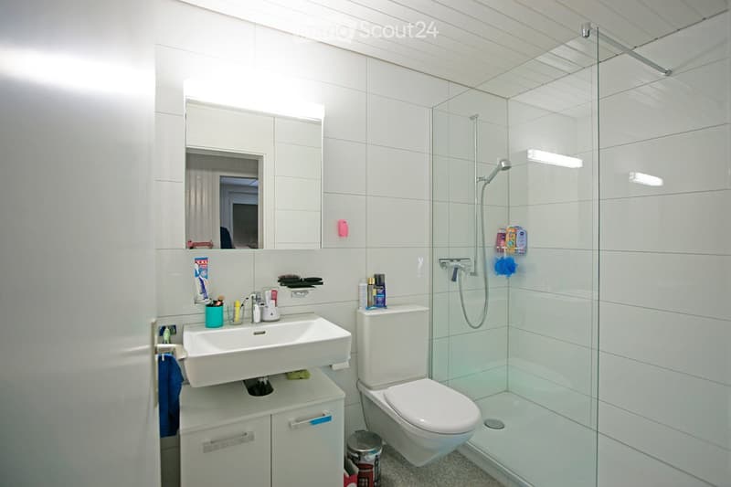 white tiles, white sink, white toilet, glass shower enclosure, mirror, white cabinet, trash can