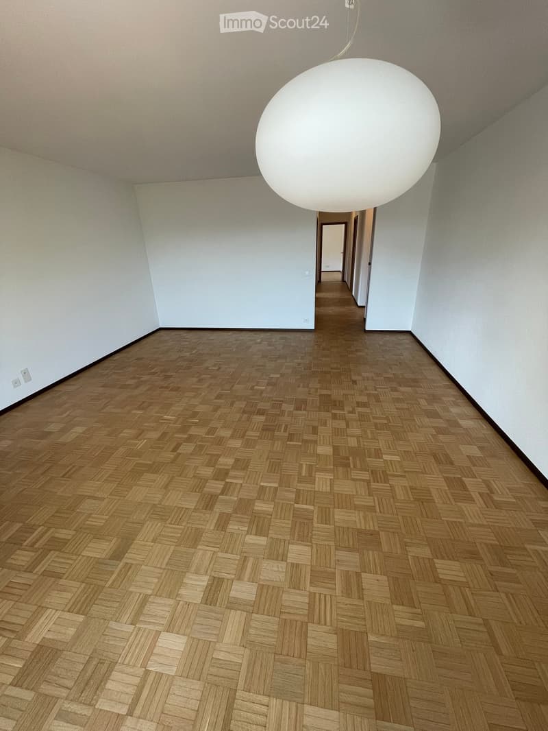 Corridor / Hallway. Empty hallway with wooden herringbone flooring, white walls, and a large spherical pendant light.