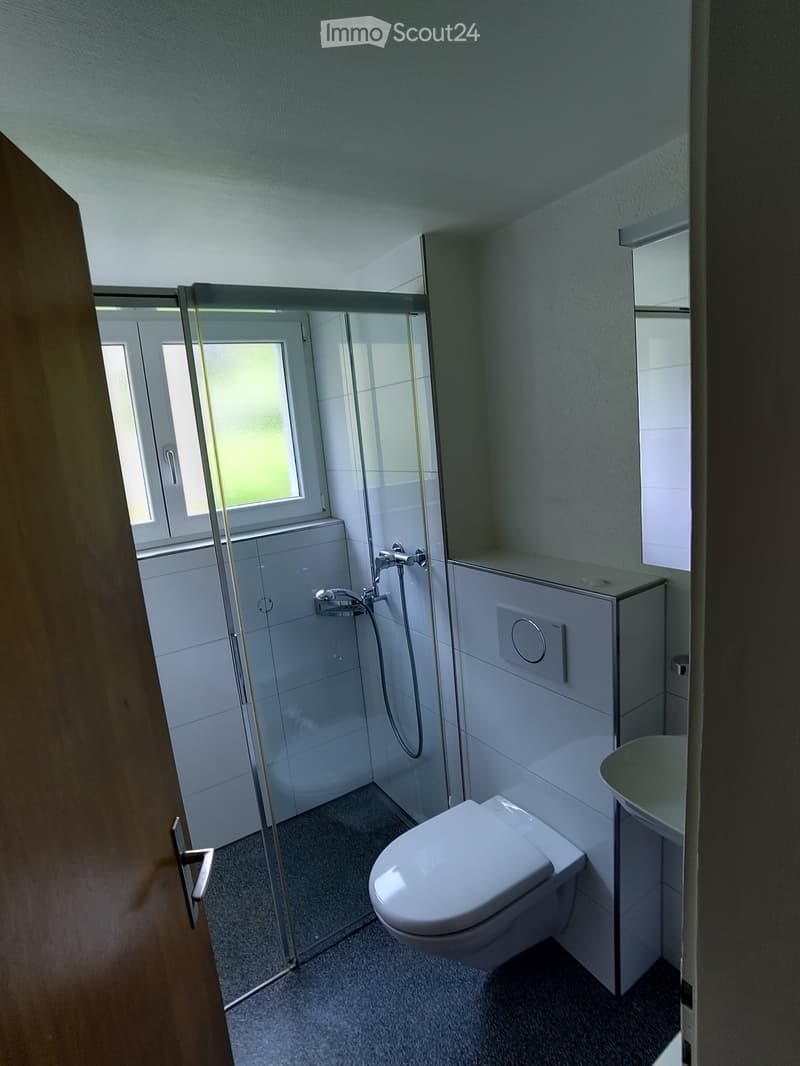 Bathroom. Bathroom with a glass shower enclosure, white toilet, and a white sink. The walls are tiled, and there is a small window.