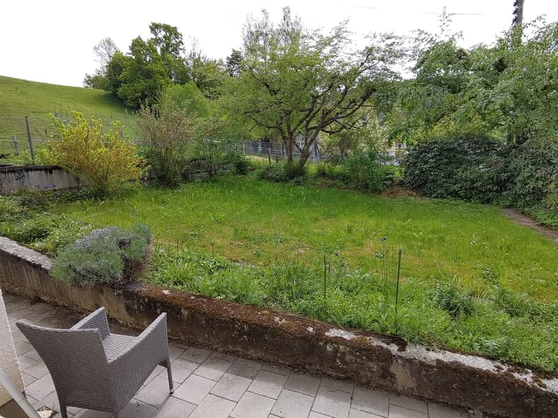 Garden / Outdoor Area. A well-maintained garden with a grassy lawn, shrubs, and trees. A stone wall borders the lawn, and a chair is placed on the tiled patio.