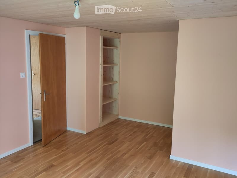 Unfurnished Room. Empty room with wooden floor, pink walls, wooden door, and built-in wooden shelf.