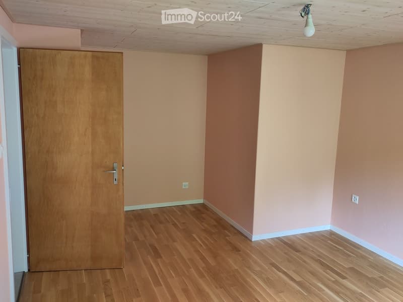 Unfurnished Room. Empty room with wooden door, wooden floor, and pink walls. There are two power outlets on the wall.