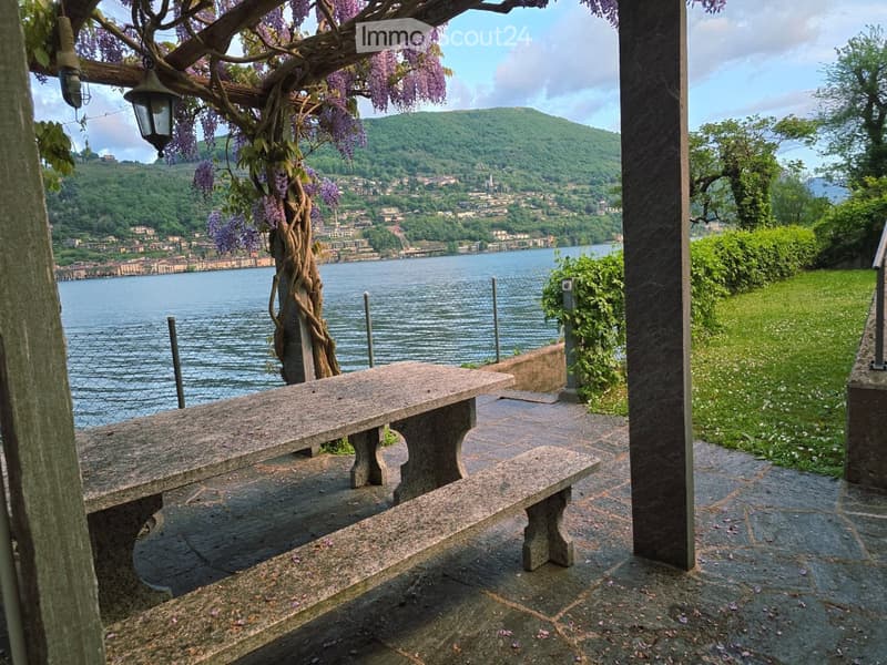 Garden / Outdoor Area. Outdoor area with stone benches, a view of a lake and hillside, and a tree with purple blossoms.