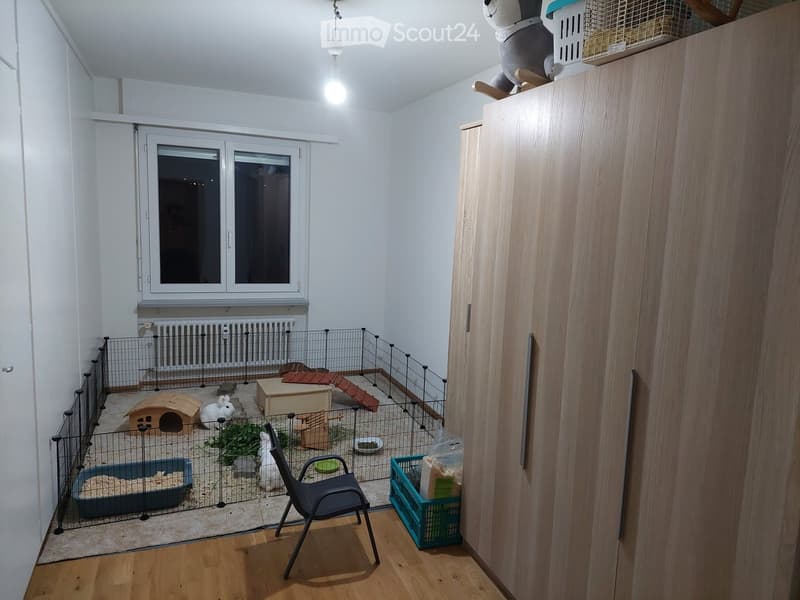 Furnished Room. A small, well-lit room with wooden flooring and white walls, featuring a fenced enclosure for a pet hamster with a house, wheel, bowl, and litter box, along with a chair and storage crates.