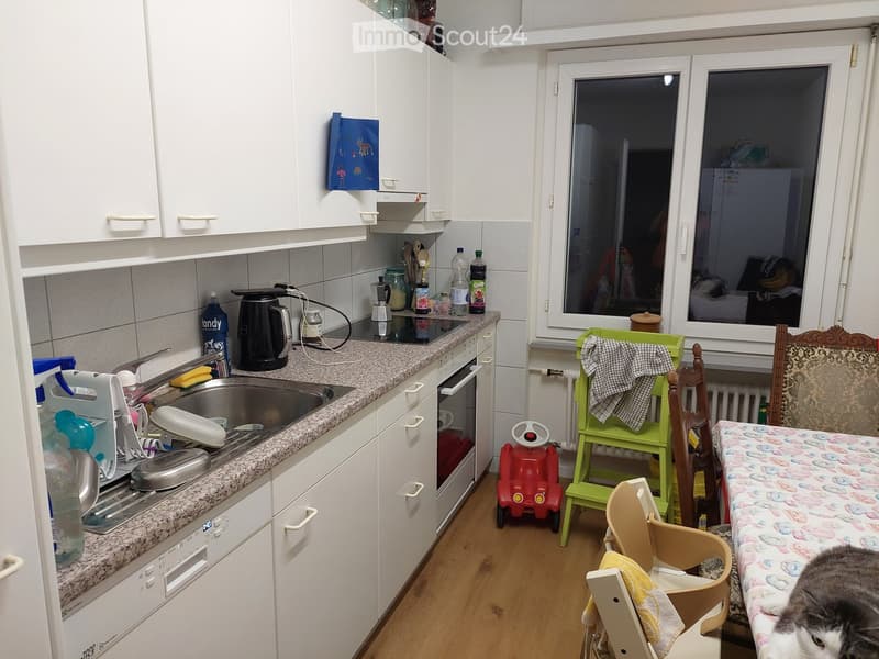 Other. {"type": "Kitchen", "objects": ["sink", "faucet", "oven", "dishwasher", "cupboard", "bottle", "fridge", "chair", "table", "cat", "toy car", "stool", "cupboard", "bottle", "cup", "bottle", "bottle", "bottle", "bottle", "bottle", "bottle", "bottle",