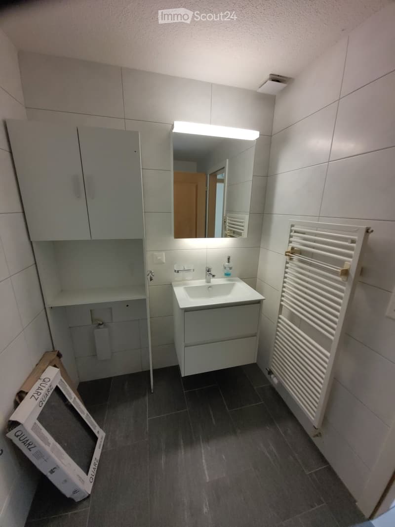 Bathroom. Modern bathroom with a white sink, mirror with built-in lighting, grey cabinet, and a white radiator. Dark tiled floor and grey tiled walls.