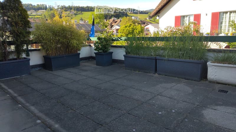 Balcony / Terrace. Balcony with grey tiled floor, several large planters with plants, railing, and a view of a residential area with houses and greenery.