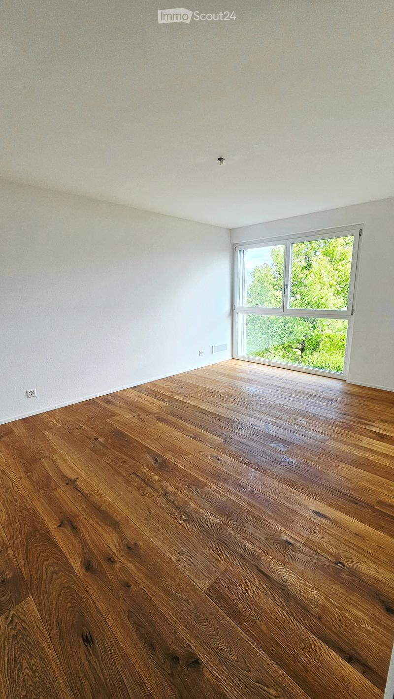 Unfurnished Room. Empty room with wooden flooring and white walls, featuring a large window with a view of greenery outside.
