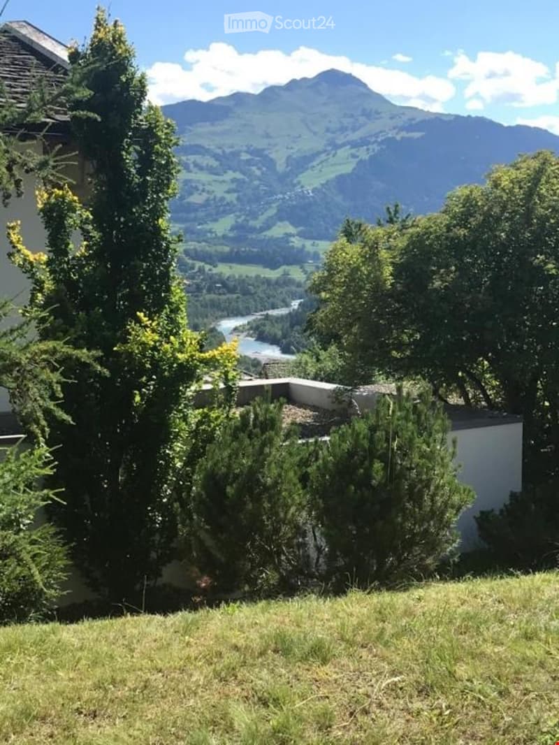 Garden / Outdoor Area. Garden area with green grass, trees, and a scenic mountain view in the background.