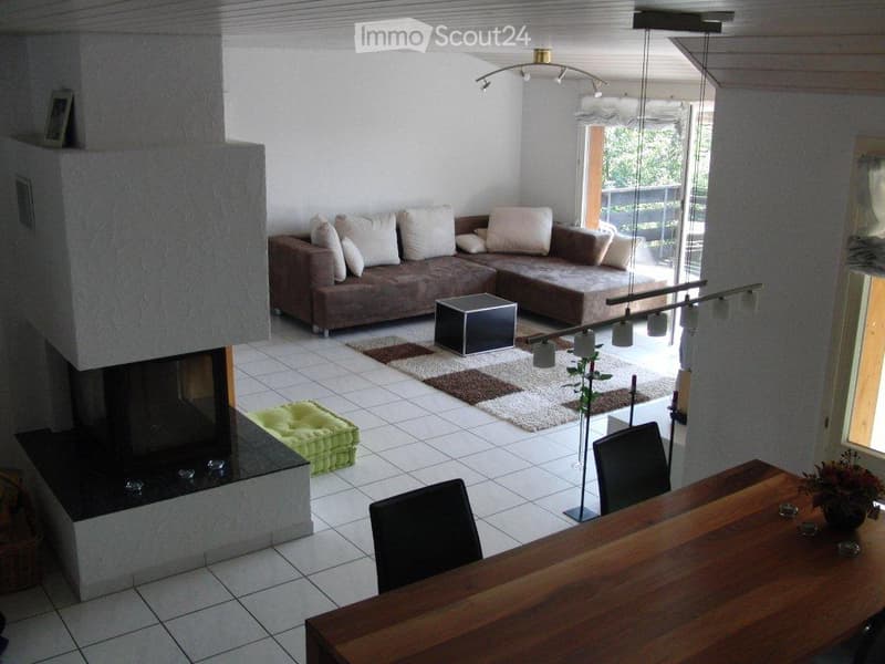 Furnished Room. Modern living room with a fireplace, sofa, coffee table, dining table, chairs, and decorative rugs.