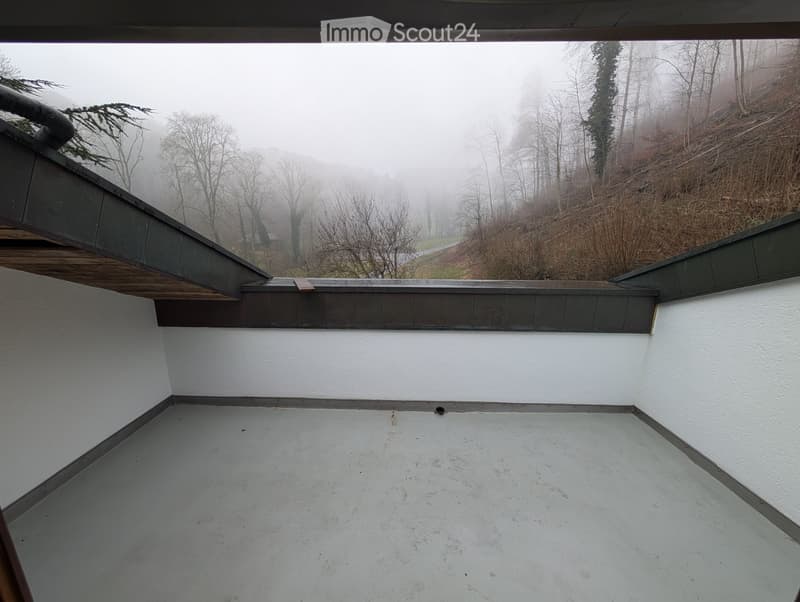Balcony / Terrace. Empty balcony with white walls, grey floor, and a wooden roof section, overlooking a foggy, wooded landscape.