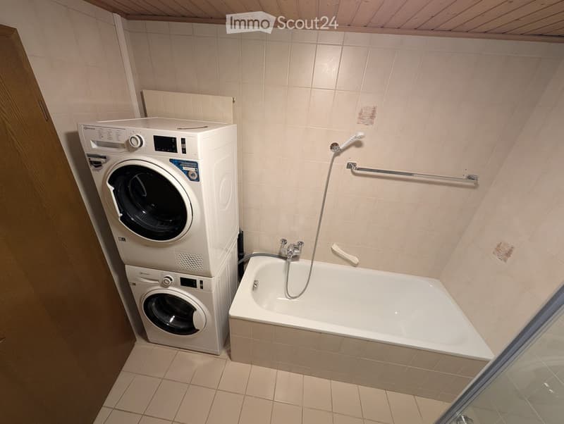 Bathroom. Bathroom with a bathtub, washing machine, and shower hose.