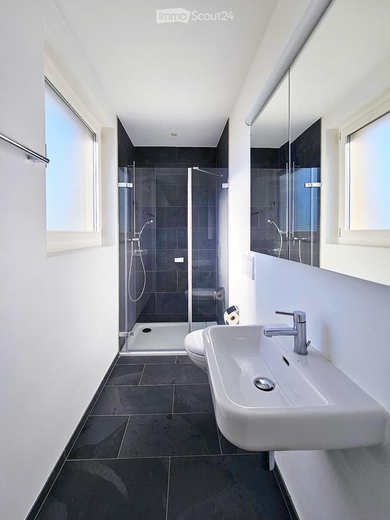 Bathroom. Modern bathroom with dark tiled walls and floor, white sink with chrome faucet, toilet, glass-enclosed shower, and large mirror.