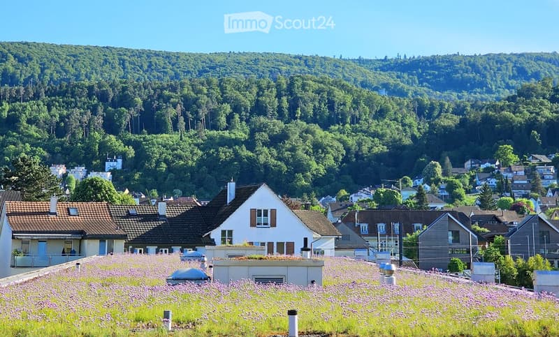 House. Residential neighborhood with houses, lush green hills in the background, and a rooftop garden with lavender plants in the foreground.