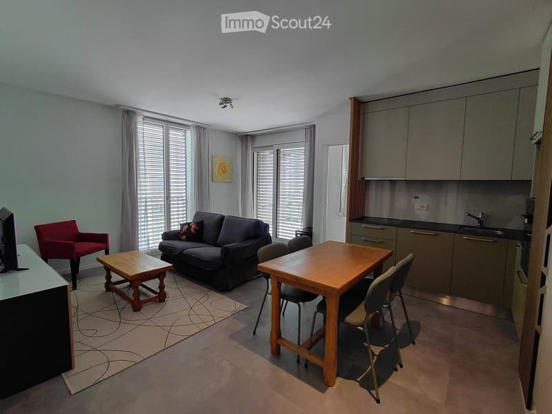 Furnished Room. A modern, open-plan living and dining area with a sofa, coffee table, dining table, chairs, and a small kitchen area with cabinets and a sink.