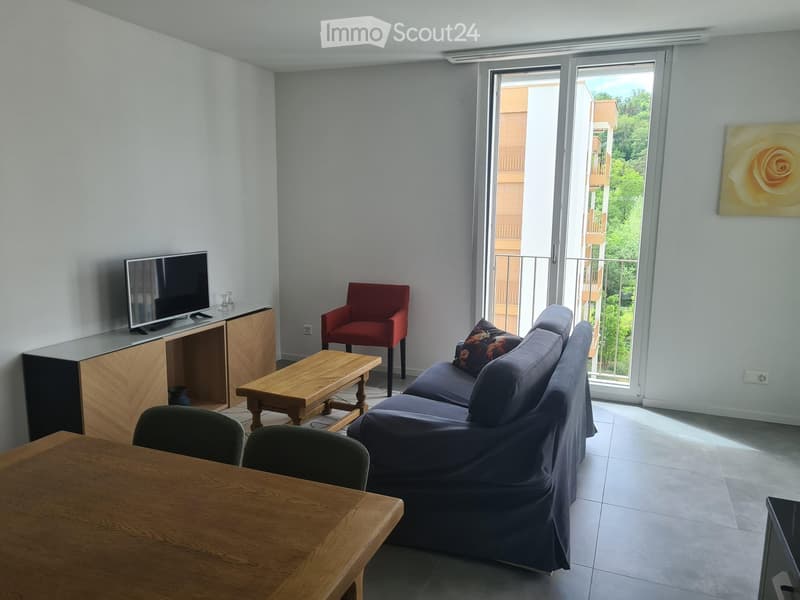 Living Room. Modern living room with a grey sofa, wooden coffee table, red armchair, dining table with chairs, and a TV on a wooden stand. Large sliding glass doors lead to a balcony with a view of greenery.