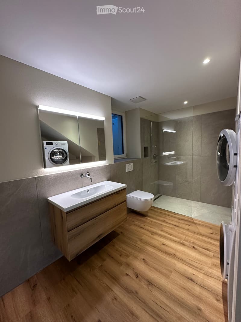 Bathroom. Modern bathroom with wooden flooring, a white sink with wooden cabinet, a toilet, a large mirror with built-in lighting, and a washing machine. The shower area has a glass enclosure.