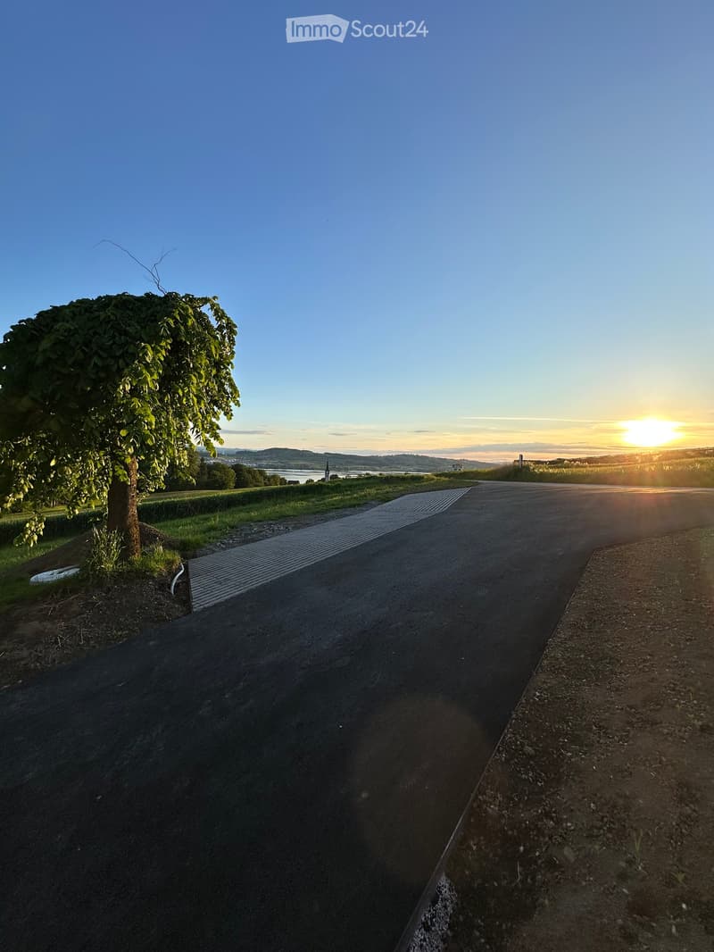 Garden / Outdoor Area. A driveway leading to a rural landscape with a tree on the left and a sunset view in the distance.