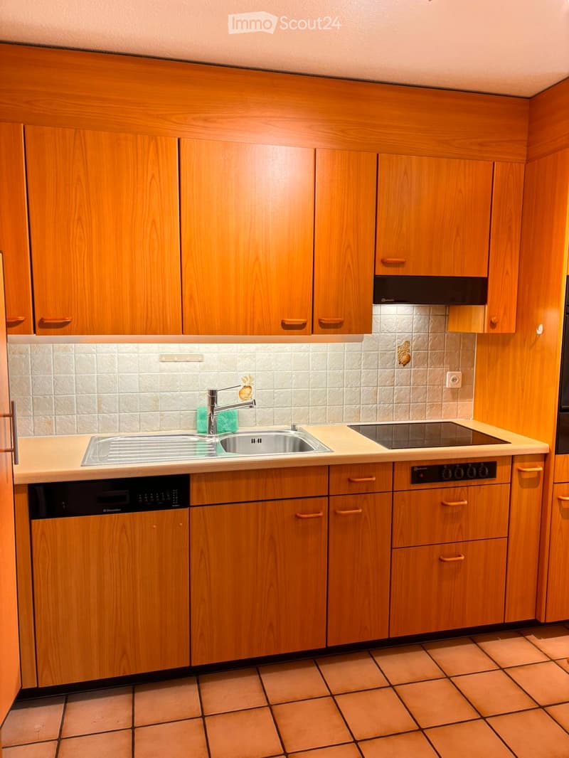 Kitchen. A modern kitchen with wooden cabinets, a stainless steel sink, a dishwasher, and a stove, featuring tiled walls and a tiled floor.