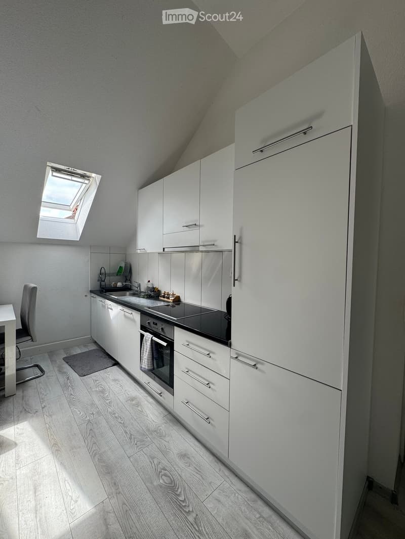 Kitchen. Modern kitchen with white cabinets, stainless steel appliances, wooden flooring, and a skylight window above the sink.