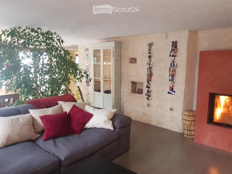 Living room with a grey sectional sofa, colorful cushions, a white cabinet, a fireplace, and a large plant near the window.