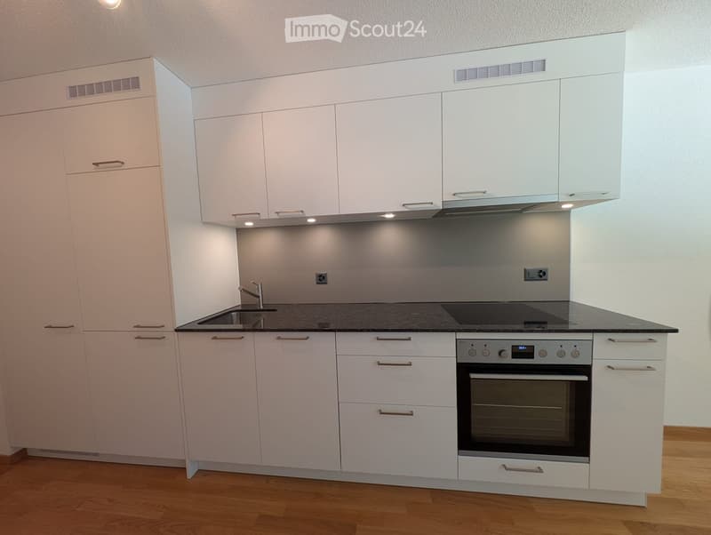 Kitchen. Modern kitchen with white cabinets, stainless steel sink, and built-in oven. Features a sleek black countertop and integrated lighting.