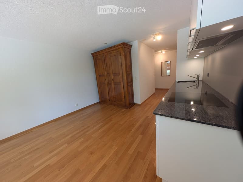 Furnished Room. The image shows a partially furnished room with a wooden floor, a large wooden cabinet, a modern kitchen area with a granite countertop, a sink, and a mirror in the background.