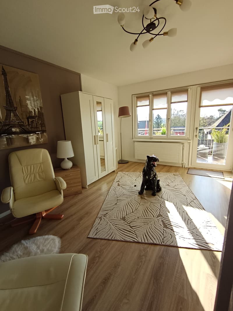 Furnished Room. Bright living room with wooden flooring, large windows, a cream-colored sofa, a beige armchair, a patterned rug, and a decorative black cat statue. Features include a modern chandelier, a floor lamp, and a large wardrobe with mirrored door