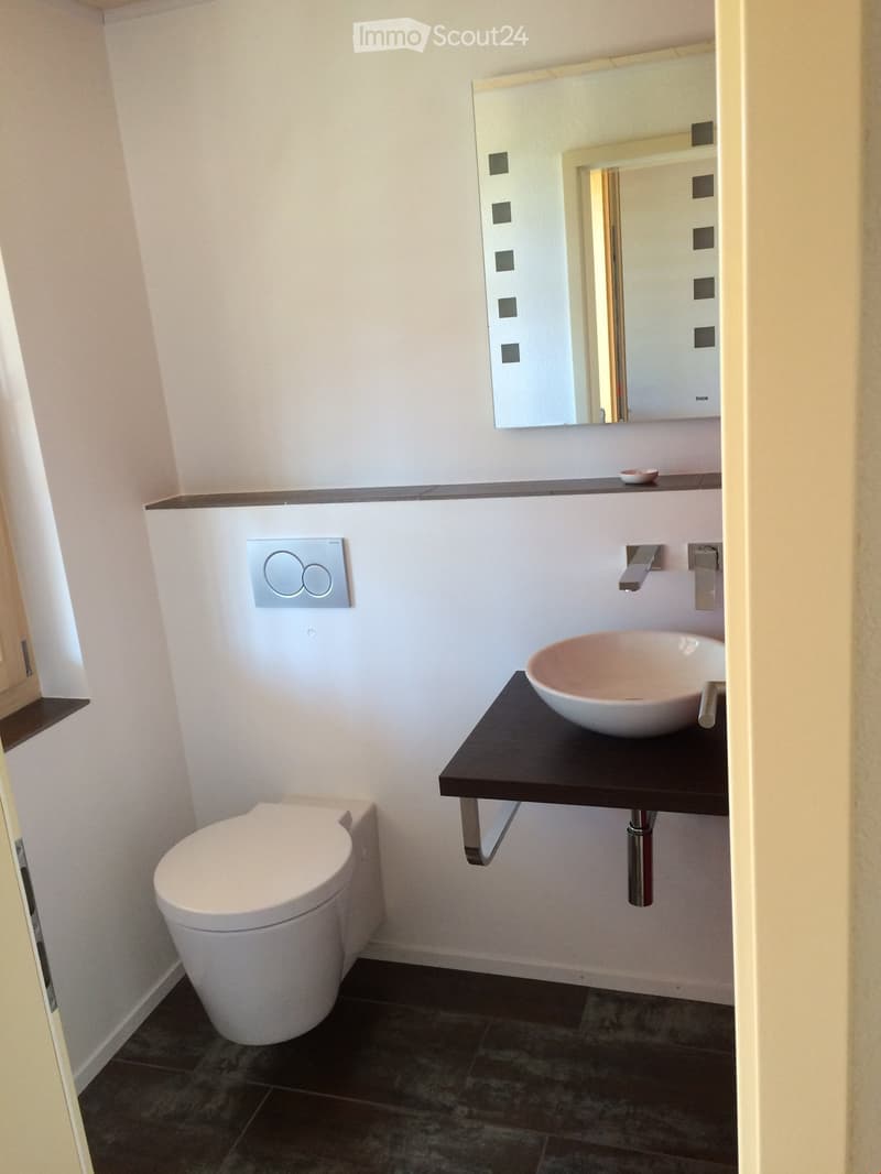 Bathroom. Modern bathroom with a white toilet, dark countertop sink, mirror, and sleek faucet.