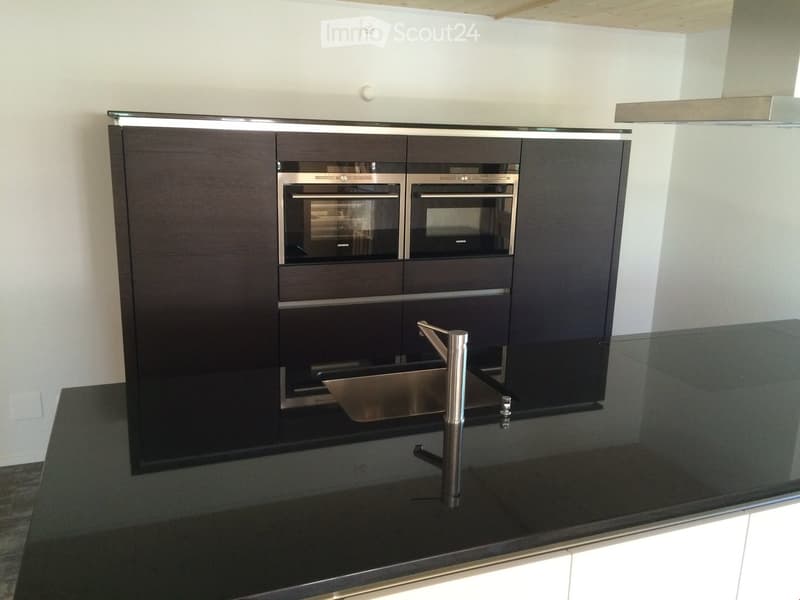 Kitchen. Modern kitchen with dark wooden cabinets, stainless steel appliances, and a sleek black countertop.