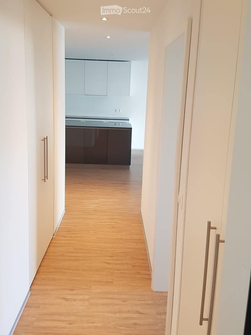 Corridor / Hallway. A narrow hallway with light wooden flooring and white walls, leading to a kitchen area with dark cabinets and a countertop.