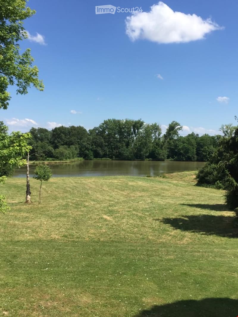 Garden / Outdoor Area. A spacious, well-maintained lawn with a small pond surrounded by trees and greenery under a clear blue sky.