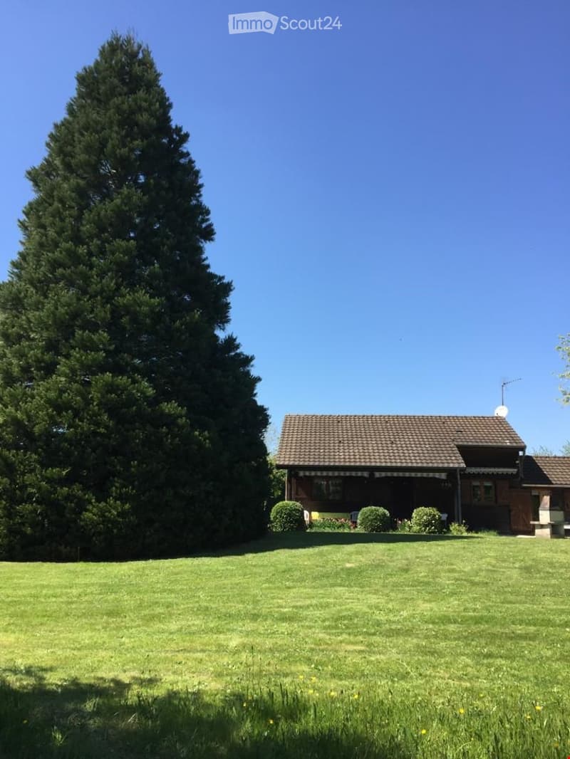 House. Single-story house with a tiled roof, surrounded by a well-maintained lawn and a tall evergreen tree.