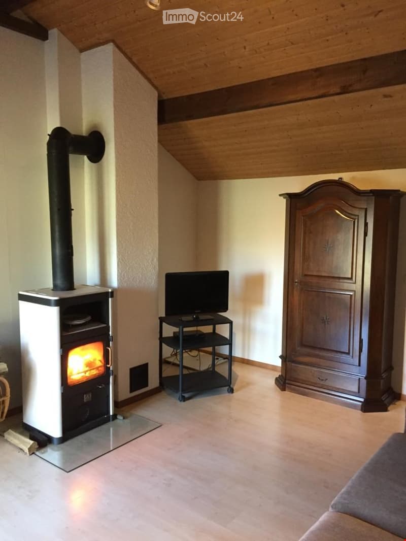 Furnished Room. Cozy living room with a wood-burning stove, television on a stand, and a large wooden cabinet.