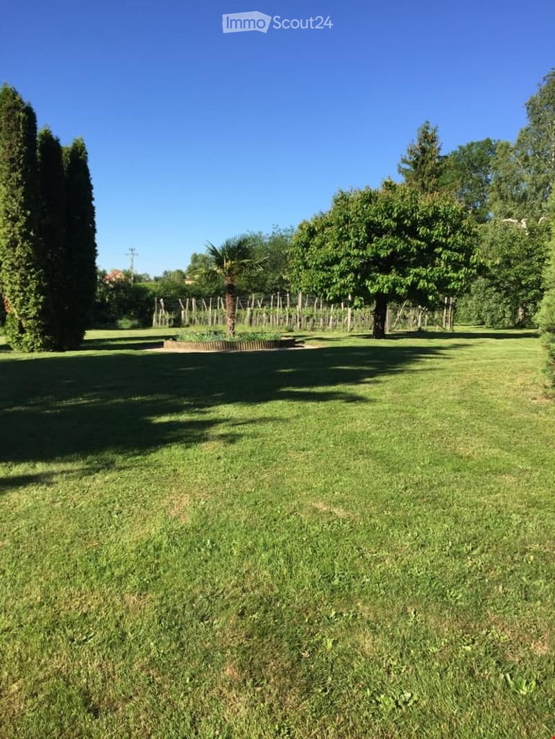 Garden / Outdoor Area. A spacious, well-maintained lawn with tall, manicured trees and a clear blue sky overhead. The area is surrounded by additional greenery and a small raised garden bed.