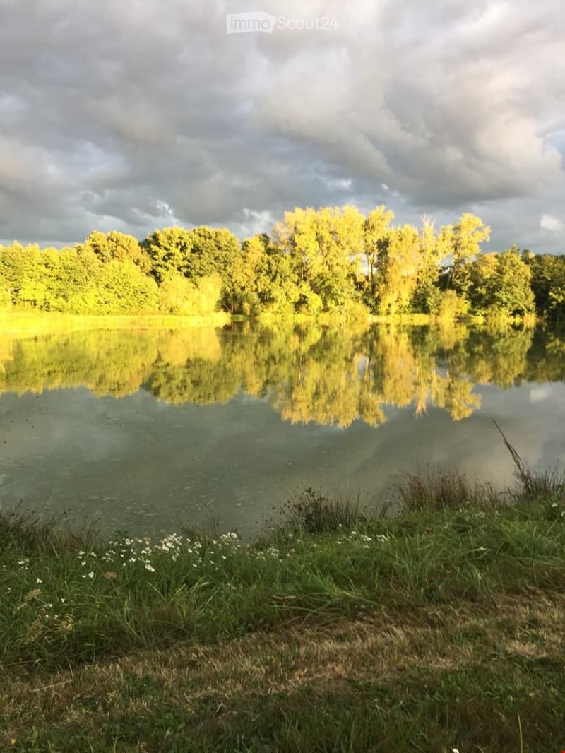 Garden / Outdoor Area. A serene pond surrounded by lush green grass and trees, with reflections of the trees and sky on the water's surface.