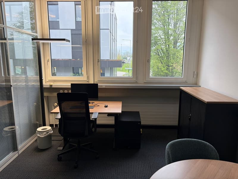 An office room with a desk, computer, chair, trash bin, and a cabinet. There are three windows with a view of the outside.