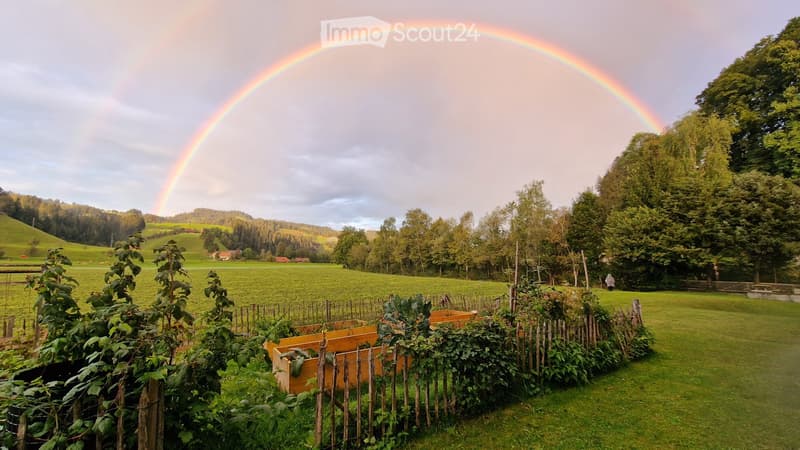 A lush garden with a wooden fence, raised garden beds, and a double rainbow in the sky over a green field and forested hills.