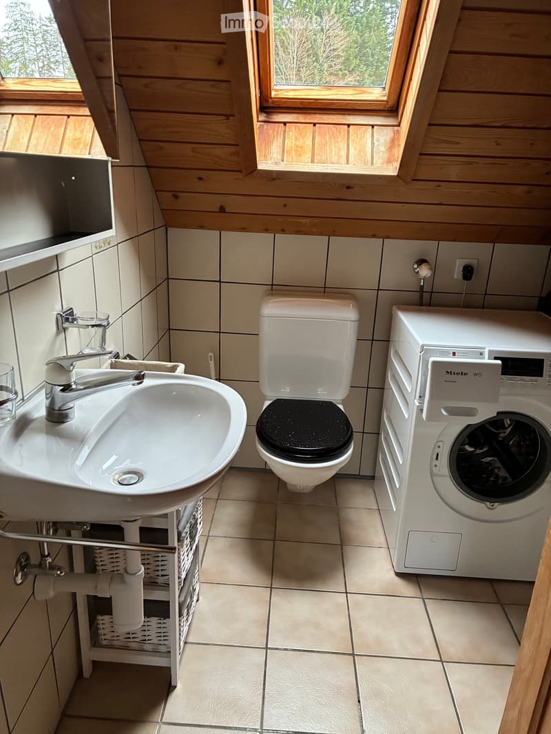 Bathroom. Bathroom with a white sink, toilet, washing machine, and wooden ceiling with skylight windows.